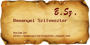 Besenyei Szilveszter névjegykártya