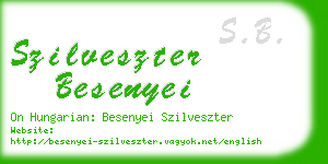 szilveszter besenyei business card